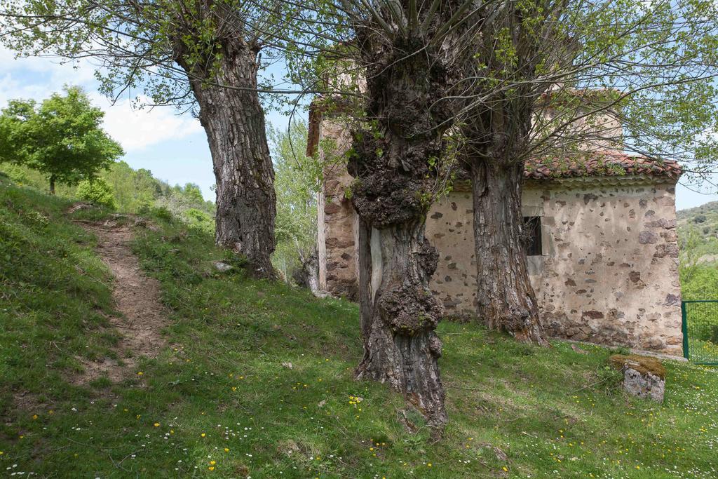Posada de Urreci Aldeanueva de Cameros Dış mekan fotoğraf